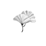 Ginkgo Leaf Drawer Knobs Modern Cabinet Pull Handle for Wardrobe Cupboard Drawer Bookcase Furniture (Large，Silver)